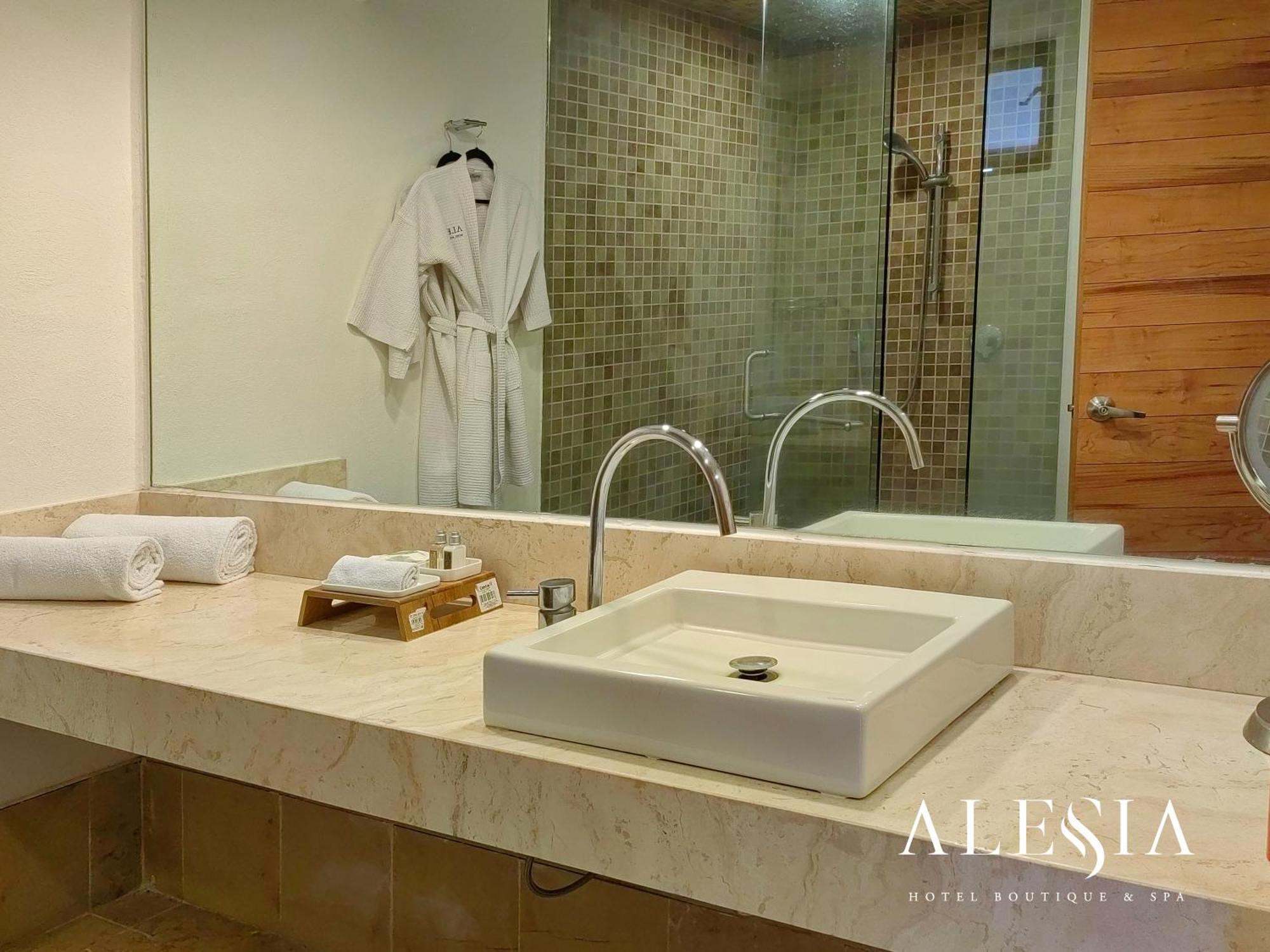 Alesia - Boutique Hotel & Spa 아과스칼리엔테스 외부 사진